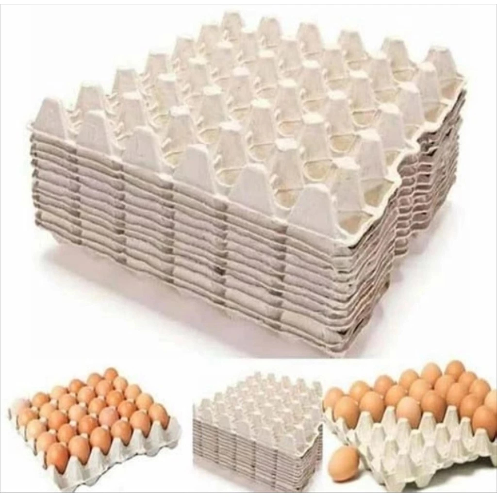 Egg Tray Karton Bekas Pakai Telur Ayam Kampung