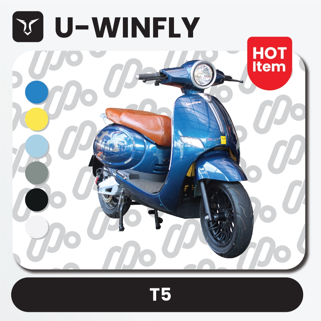 Motor Listrik U-Winfly T5