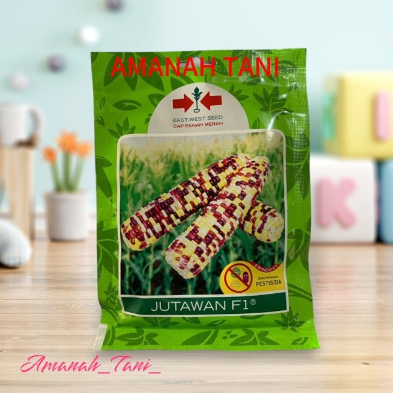 Benih Jagung Jutawan F1 – Tongkol Besar, Manis, Produktivitas Tinggi, Cocok Lahan Basah & Kering