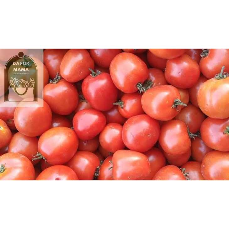 

Tomat Segar 500 gr