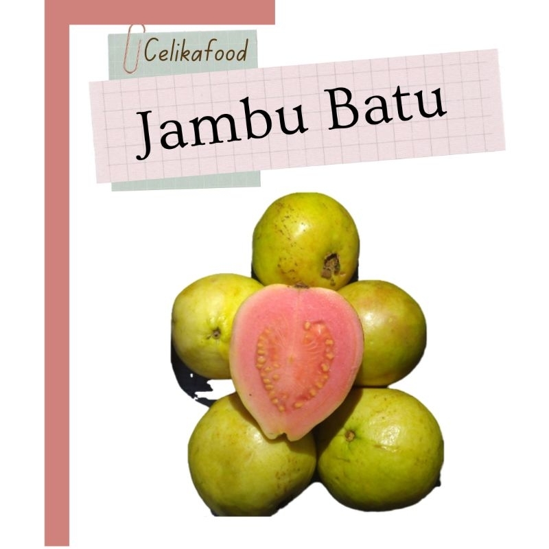 

Jambu Batu Merah 1 kg Biji Siki Klutuk Guava Buah Fresh Fruit
