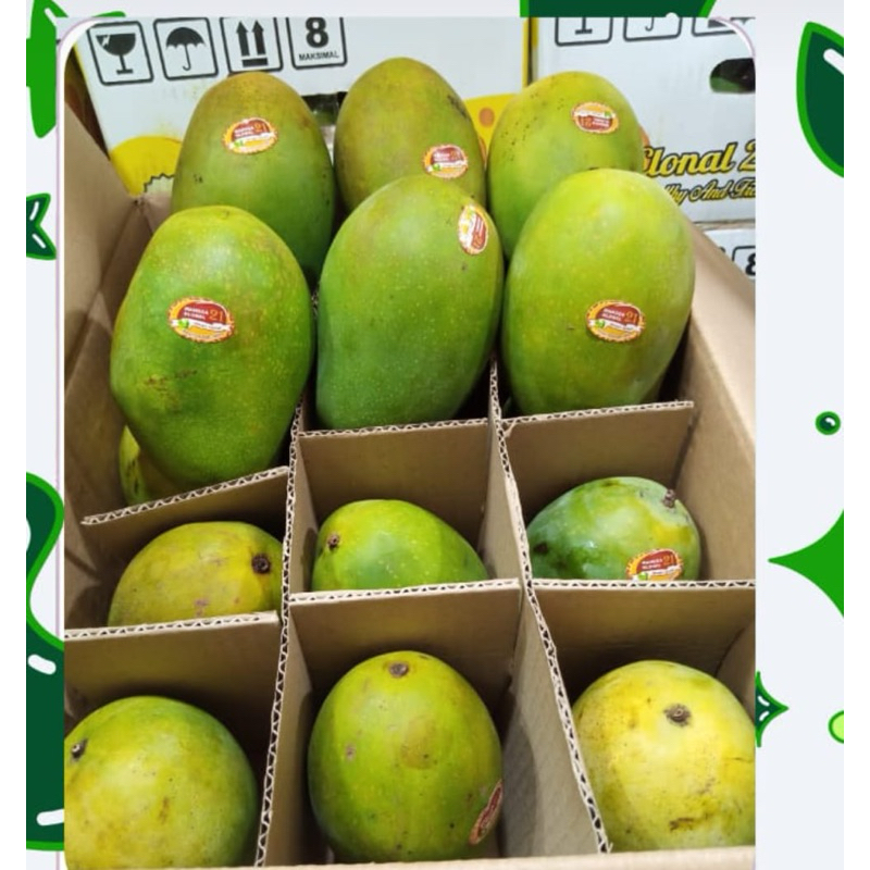 

Mangga Alpukat Clonal21 2kg PROMO
