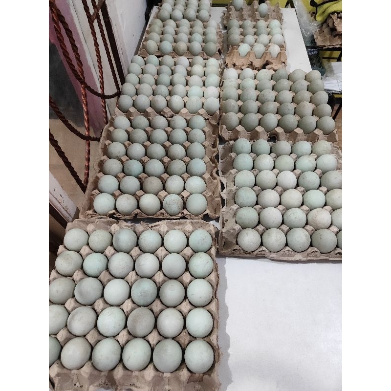 

telur bebek fresh size besar per mika isi 10 butir
