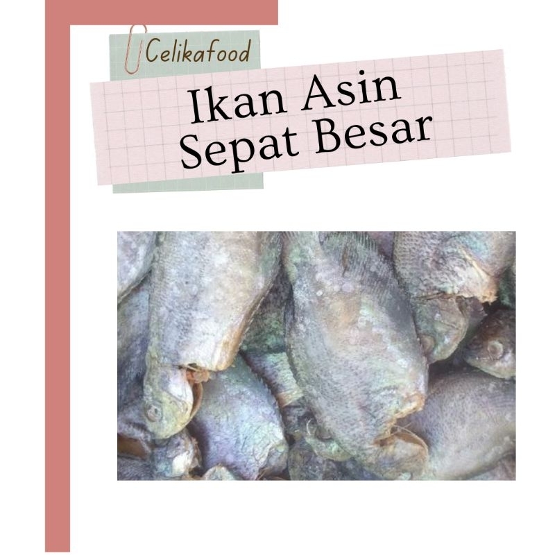 

Ikan Asin Sepat Sedang 1 Pcs Seafood Kering