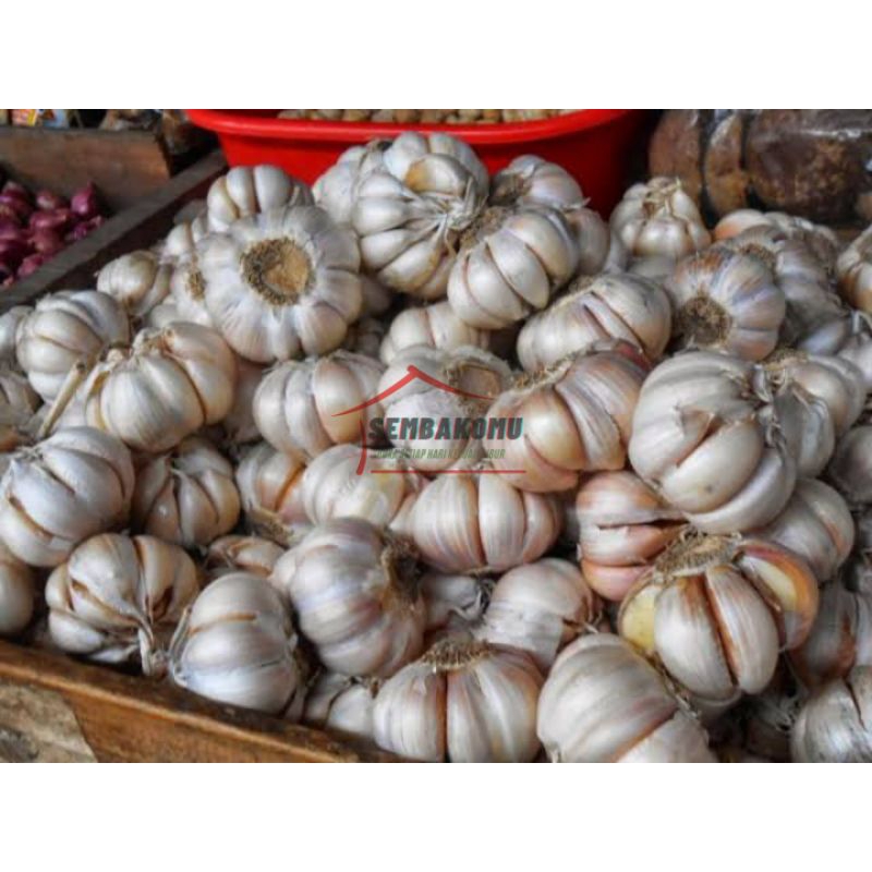 

BAWANG PUTIH SEGAR 250gr, 50gr, 1kg