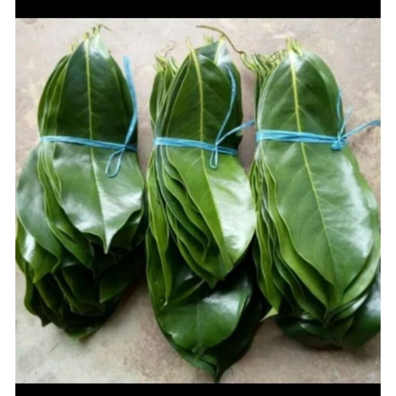 

100pcs Daun Sirsak Segar Freshh obat herbal