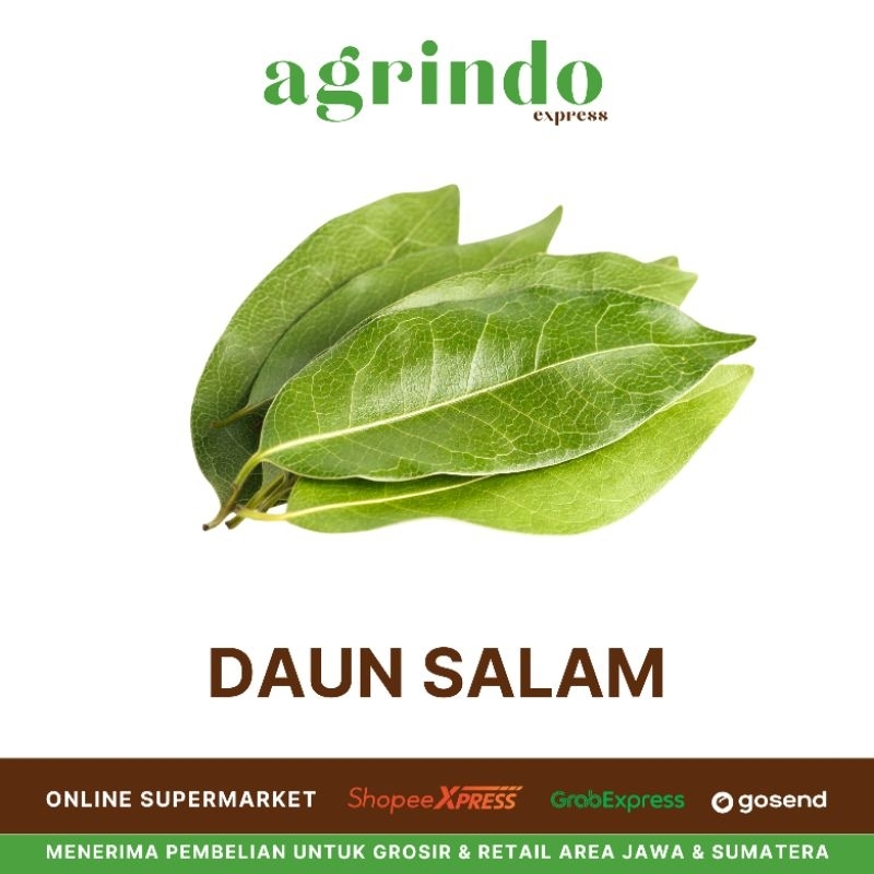 

Daun Salam