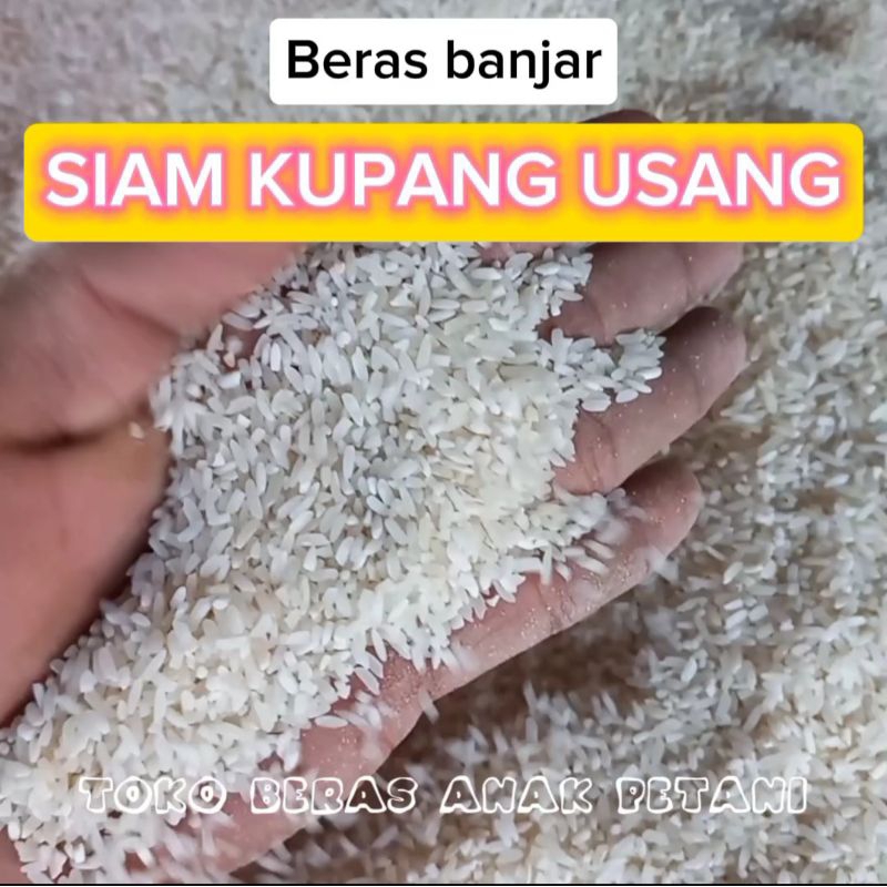 

Beras siam kupang usang karau. beras banjar. beras siam usang murah