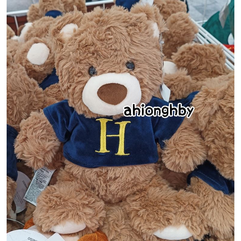 Teddy Bear Harry Potter/Miniso X Harry Potter/Boneka Anak/Boneka Mainan