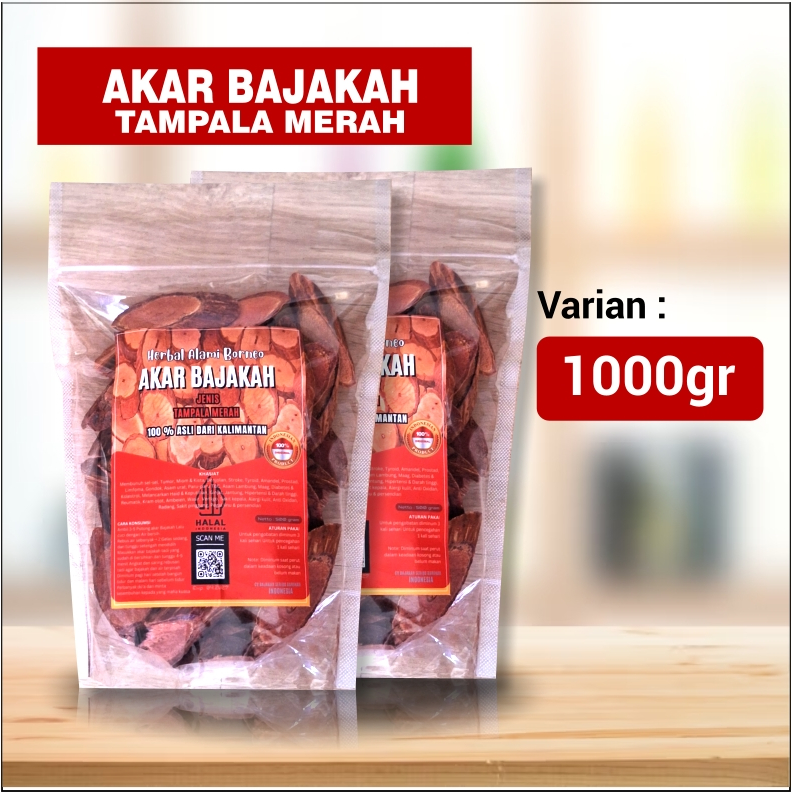 

AKAR BAJAKAH TAMPALA MERAH (1 KG) ASLI KALIMANTAN 100% ORIGINAL