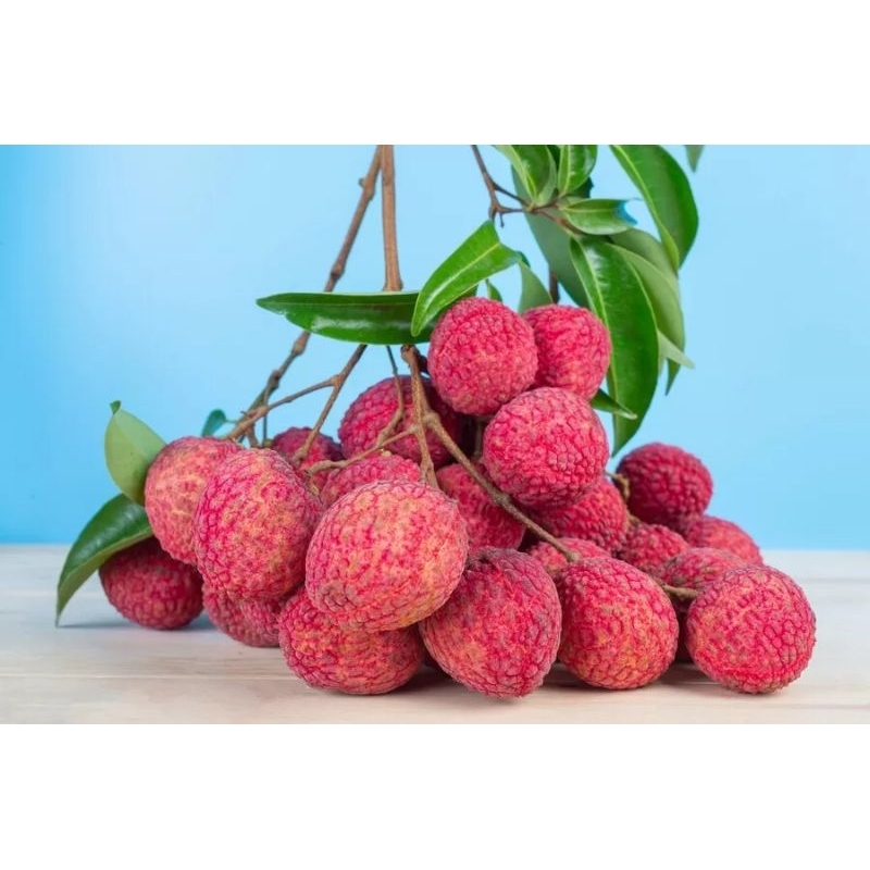 

minuman juice buah leci 600ml kualitas 100%ori