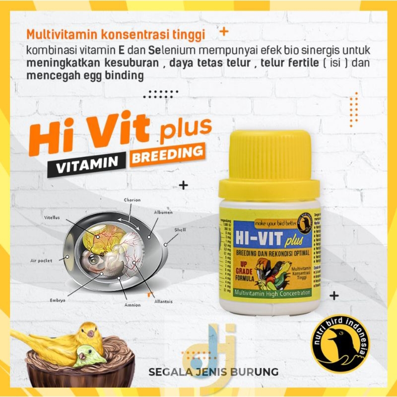 HI VIT PLUS VITAMIN BREEDING DAN REKONDISI BURUNG KICAU