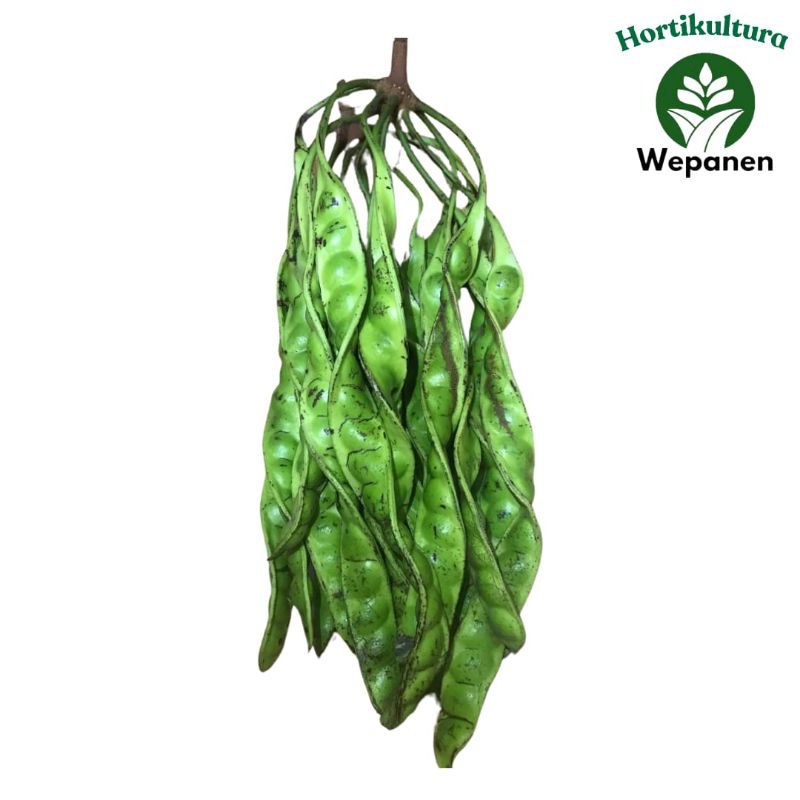 

Instant Pete Per papan 1pcs