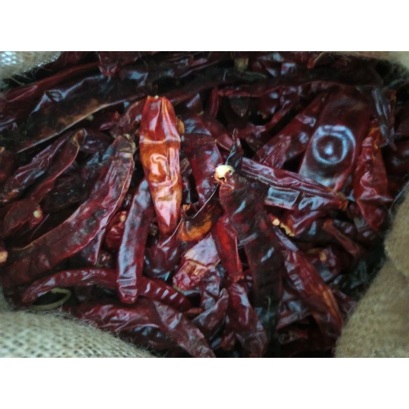 

1 kg Cabe Kering | Cabe Merah | Cabe Besar | Cabai Kering | Cabai Merah | Cabai Besar Asli Tanpa Tangkai