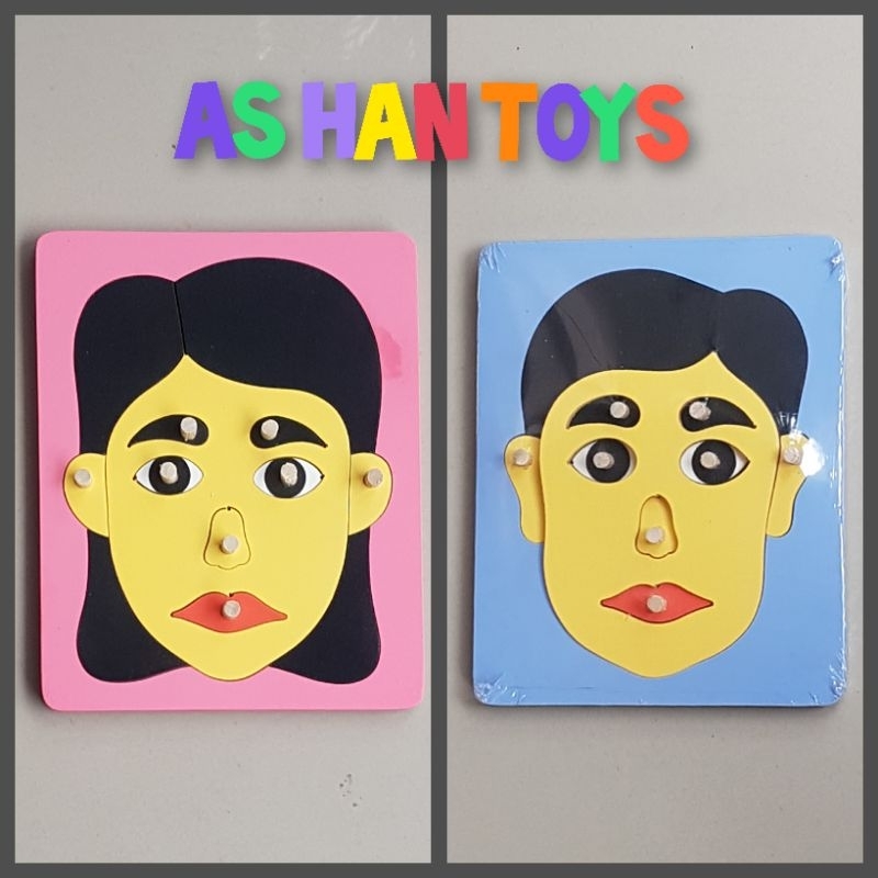 Puzzle Anatomi,Puzzle Anatomi Wajah,Peraga Anatomi,Anatomi Wajah