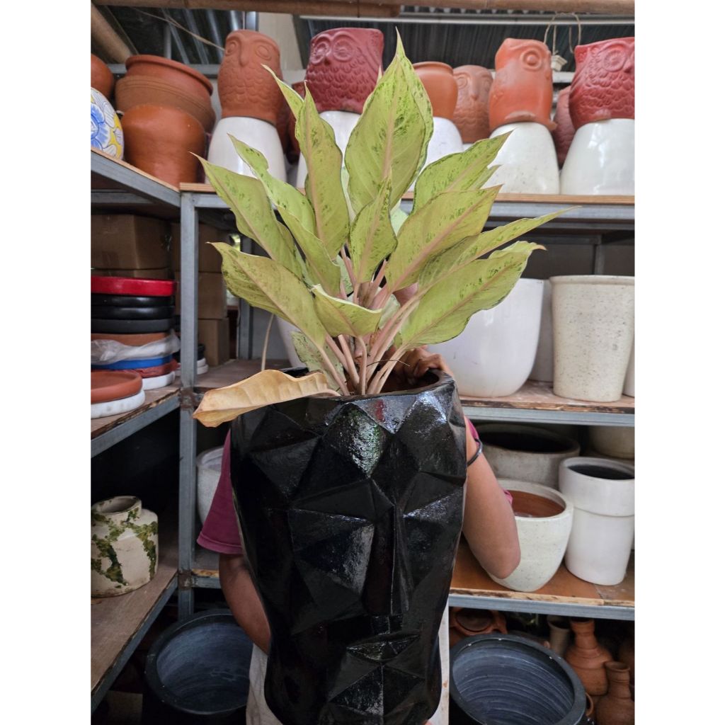 POT TANAMAN TANAH LIAT MOTIF GEOMETRI WARNA HITAM PUTIH TERAKOTA