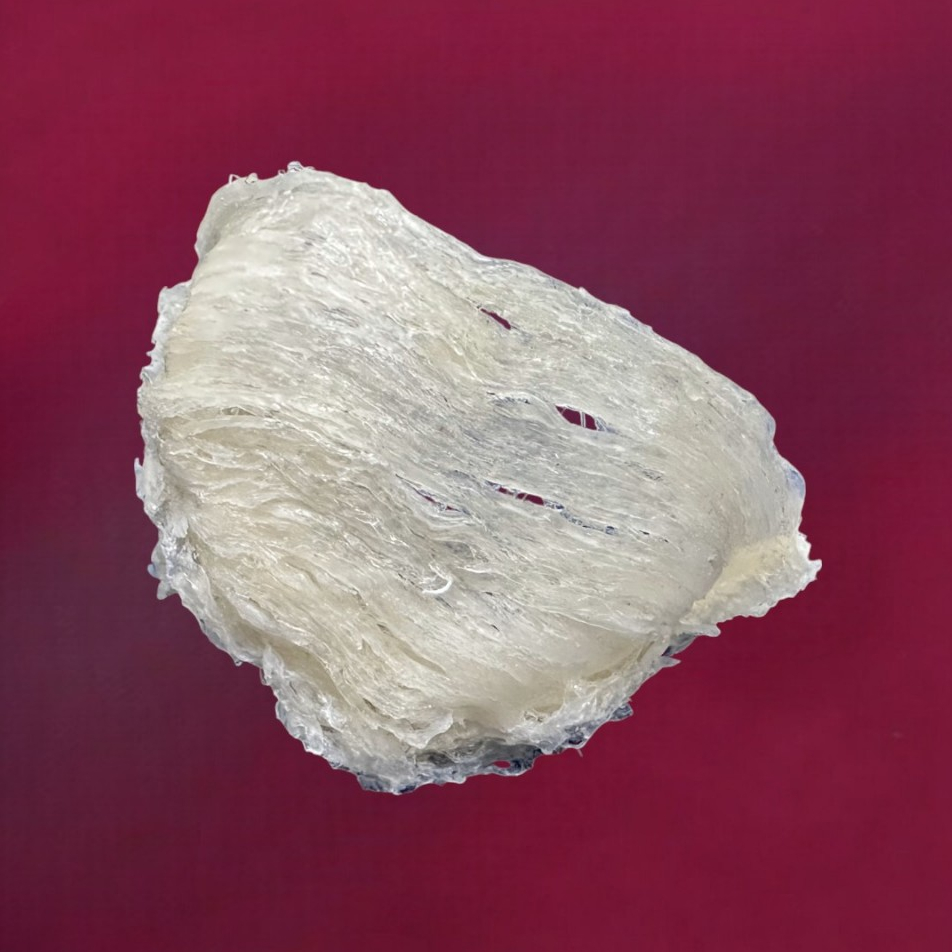 

Sarang Burung Walet / Birdnest Tri/Segitiga