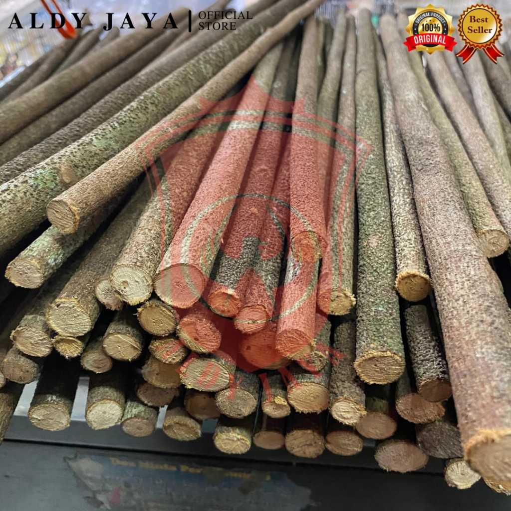 ALDY JAYA - TANGKRINGAN ASEM BALI SUPER