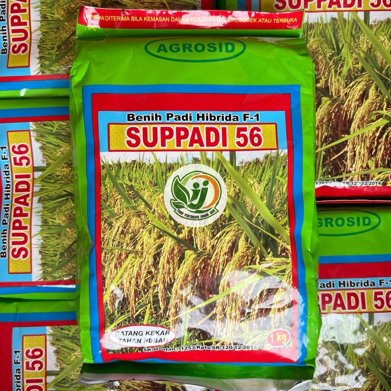 Benih Padi Hibrida 1KG Suppadi 56 - Hasil Tinggi, Tahan Rebah, Kualitas super