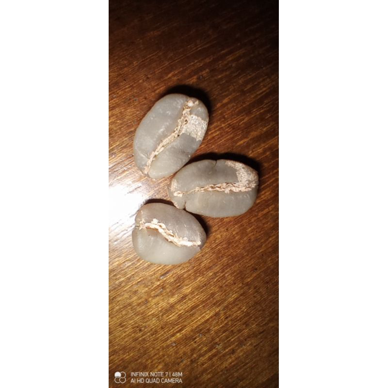 

GREEN BEAN KOPI ARABIKA