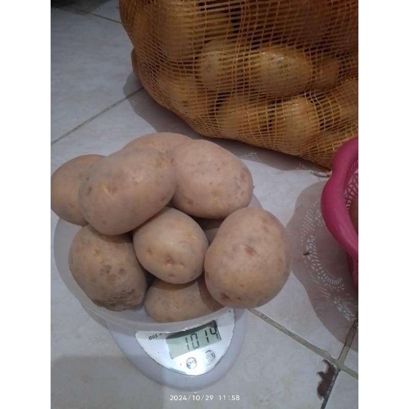 

kentang 1kg isi 8-12