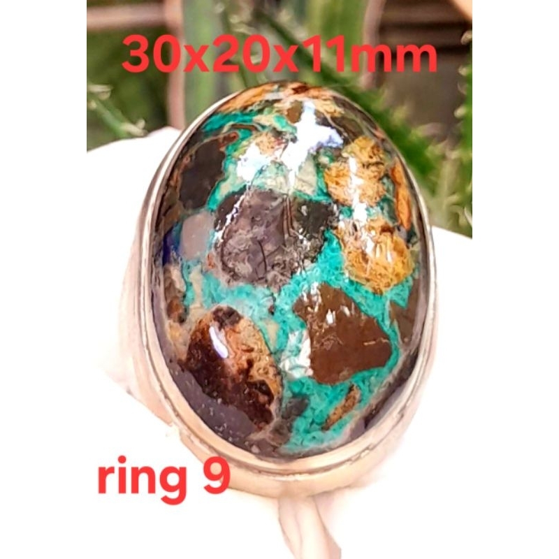 Pirus Hubei multicolour size jumbo mumbul