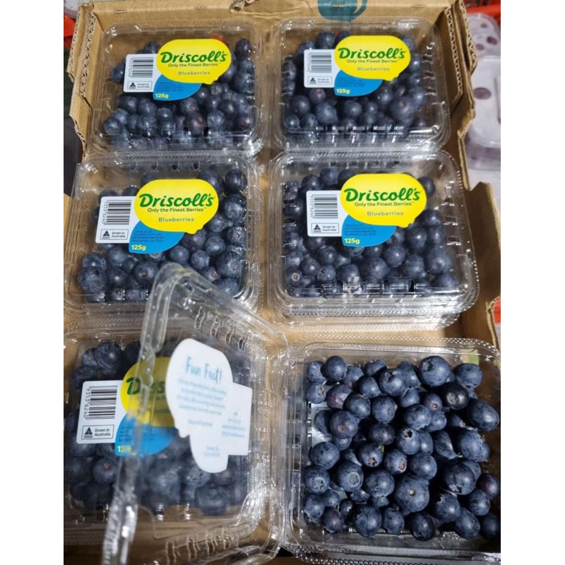 

Blueberry Drisscolls Manis Australia 125gr | Buah Blueberry Manis Segar Fresh | Buah Blueberr