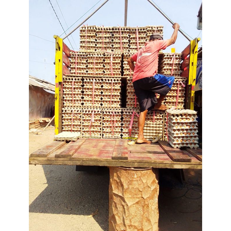 

telur ayam negeri 15kg