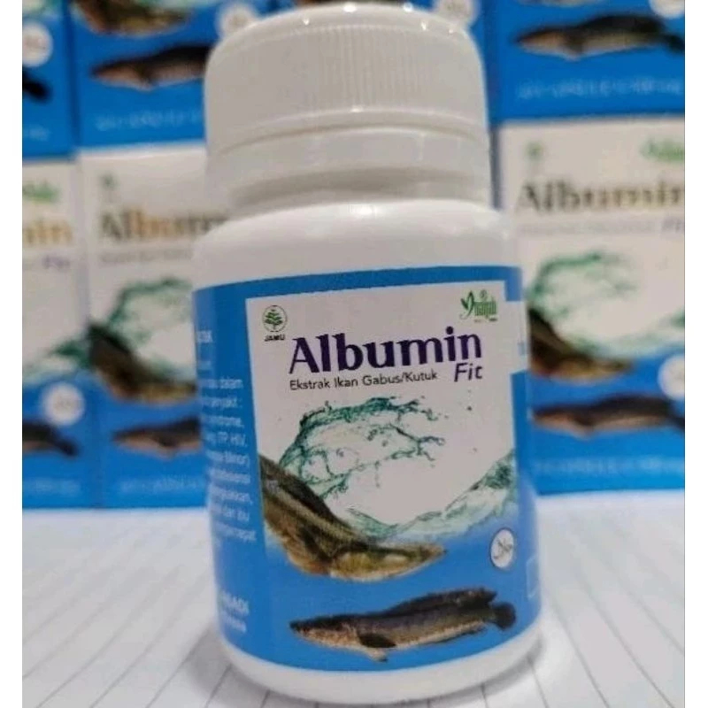 ALBUMIN FIT KAPSUL ALBUMIN KAPSUL IKAN GABUS OBAT LUKA