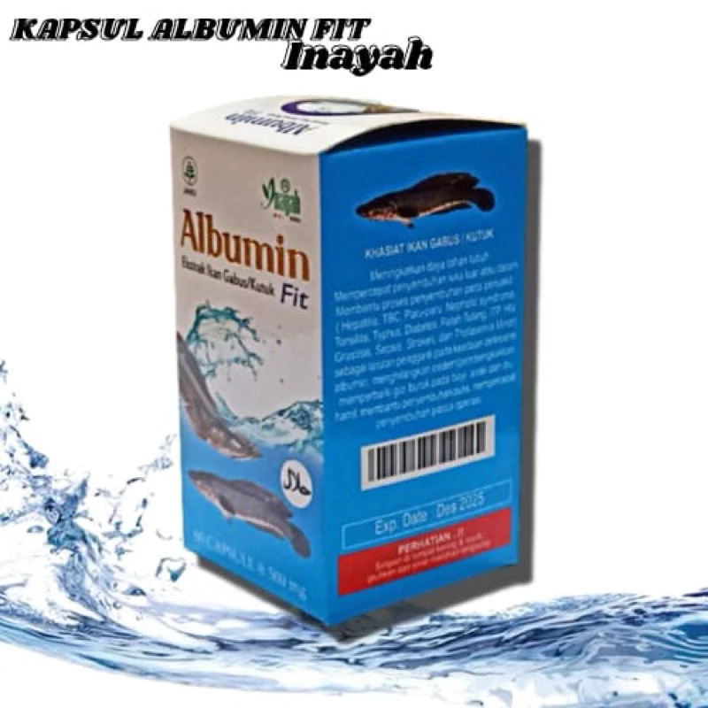 Albumin Fit Kapsul Ekstrak Ikan Gabus fit