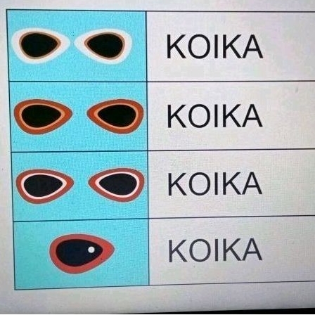 

mata ikan koika 25 pasang perlembar ada 3warna