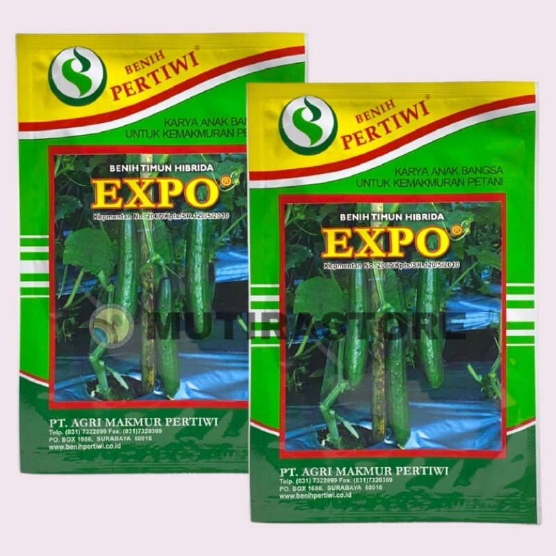 Benih Timun Mentimun Jepang EXPO Isi 10 gram Benih Pertiwi