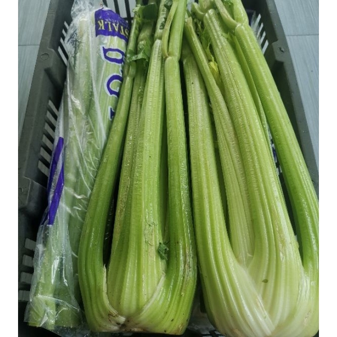 

KP8 Celery Stick Import seledri FRESH