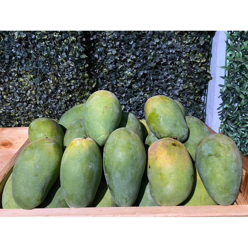 

Mangga Alpukat