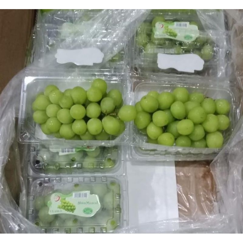 

Indukbuah Buah Anggur Hijau Shine Muscat Pack Seedless Manis 1 Dus isi 10 pack (@500 gram)