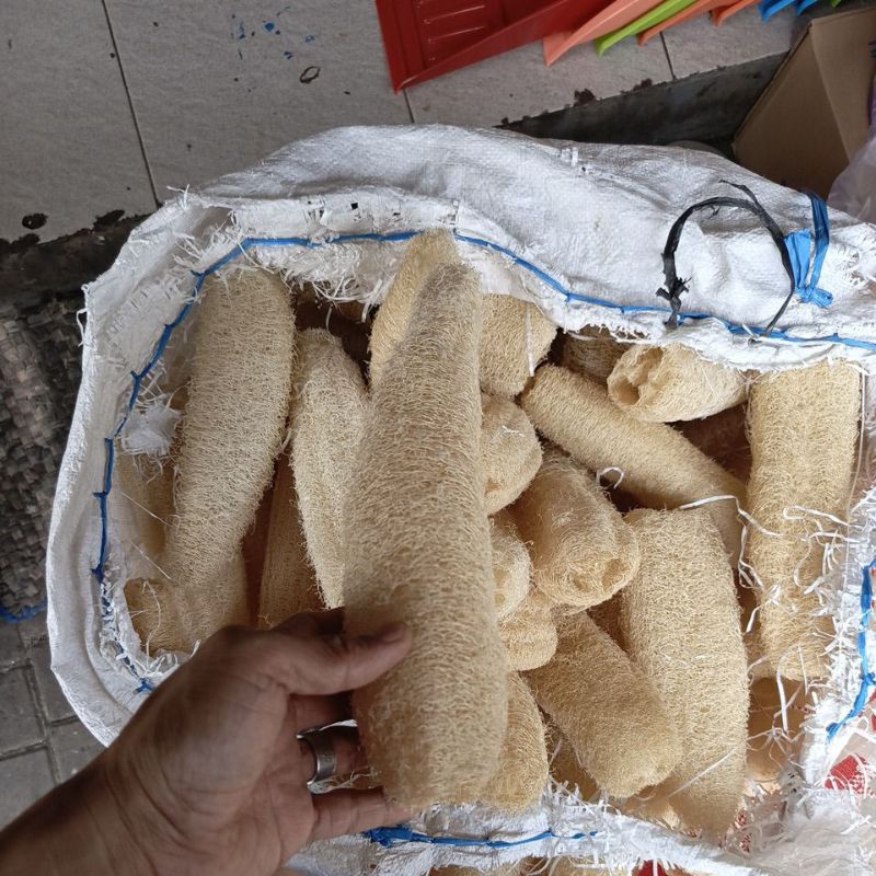 Spa Loofah Lofah Sabut Gambas Oyong Scrub Sponge Mandi Alami Loofah Cuci Piring Loofah Punggung