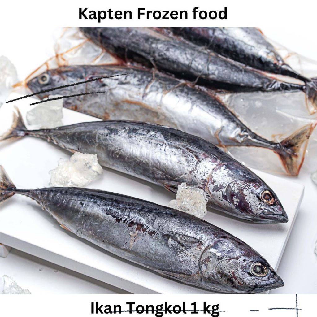 

Ikan Tongkol 1 kg