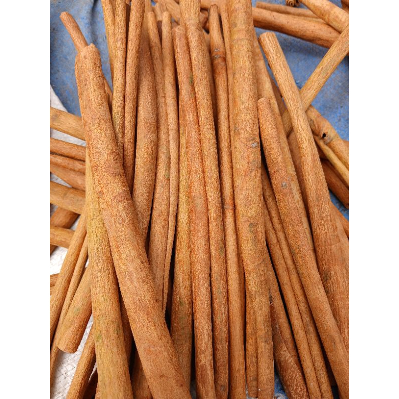 

Kayu Manis asli kerinci jambi 1kg 50cm