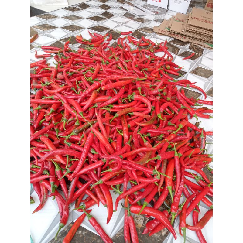 

(TERMURAH!!!) 2 kg. cabe merah besar.