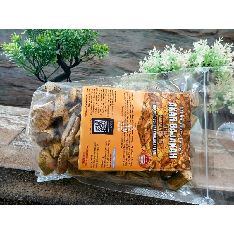 

akar bajakah tampala kuning 250g origilan 100% herbal asli kalimantan. teh akarbajakah.