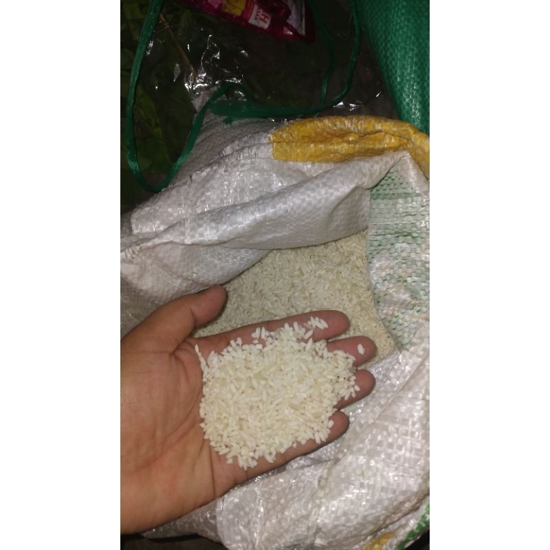 

beras ketan