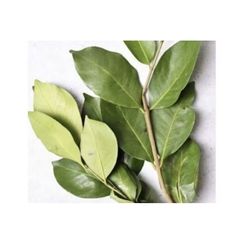 

daun salam 250gr