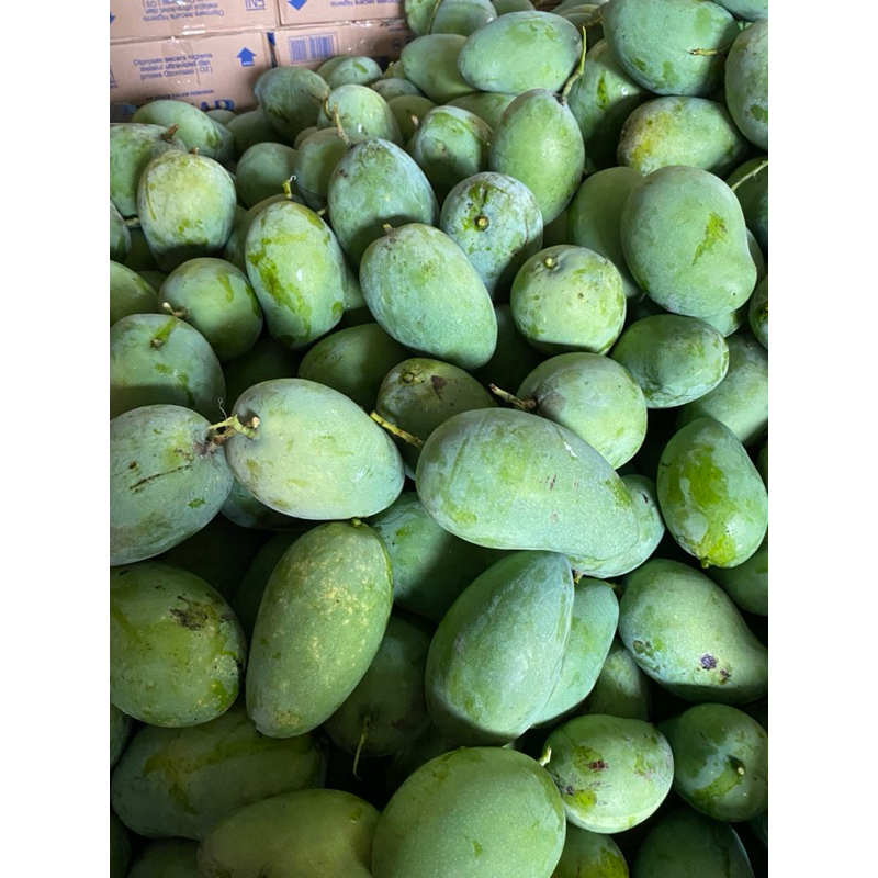 

Mangga harum manis tua-tua full 1kg