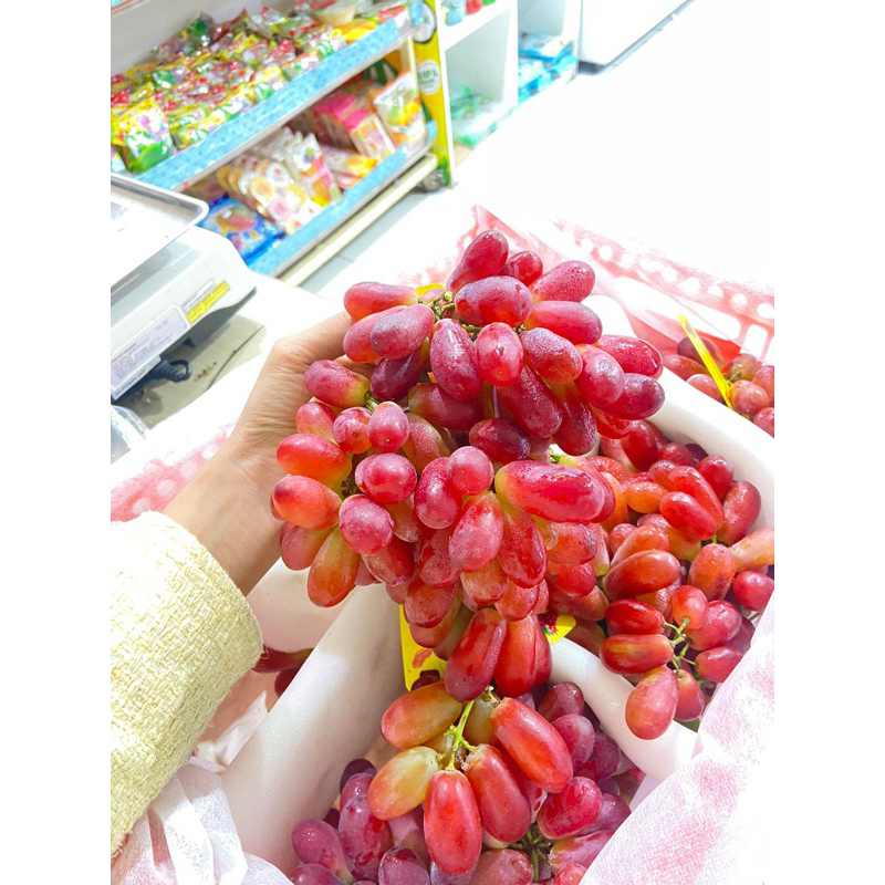 

Flaf Fruit - Anggur Merah Crimson Seedless / 500 g