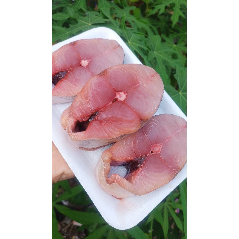 

[FULL DAGING] Tenggiri Badan Tanpa Kepala Lauk Segar Pontianak