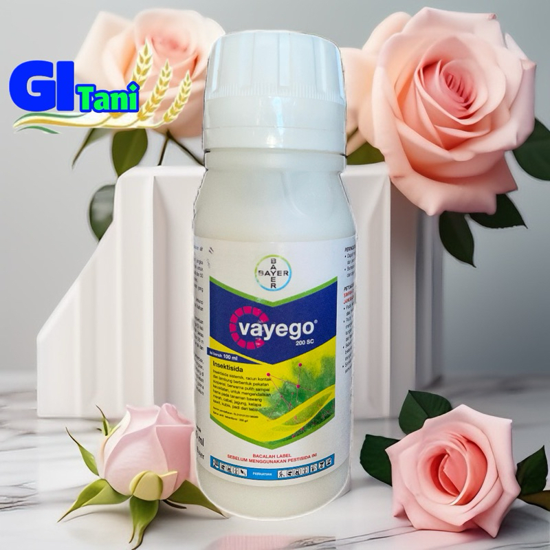 Vayego 100 ml