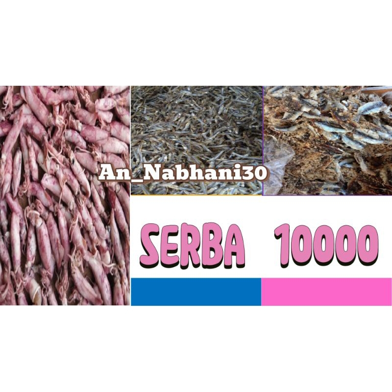 

IKAN ASIN/ CUMI SOTONG / IKAN SSIN SERBA 10.000 / ANEKA IKAN ASIN MURAH FRESH