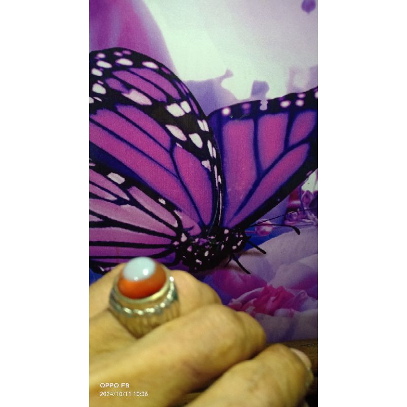 cincin batu Sulaiman mata dewa