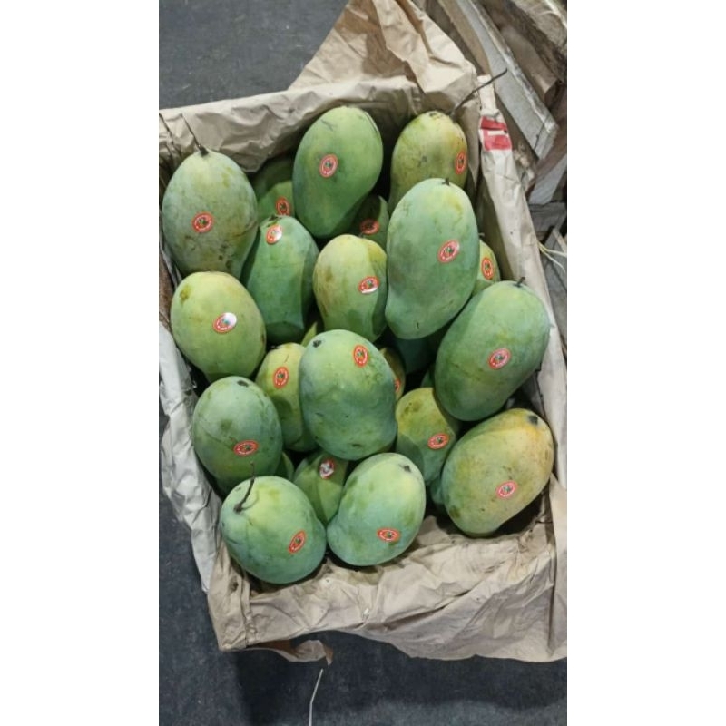 

Mangga Haru Manis 1kg
