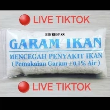 3 LIVE TIKTOK Ikan hias KOI ikan hias KOI ikan hias ikan hias